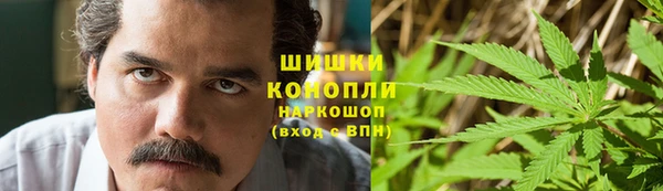 гашик Верея