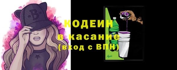 гашик Верея