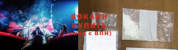 гашик Верея
