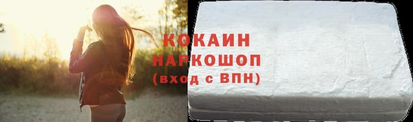 гашик Верея