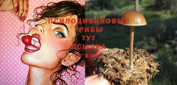 герыч Верхний Тагил