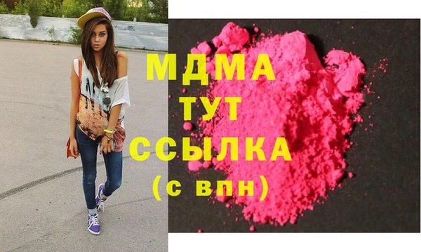 гашик Верея