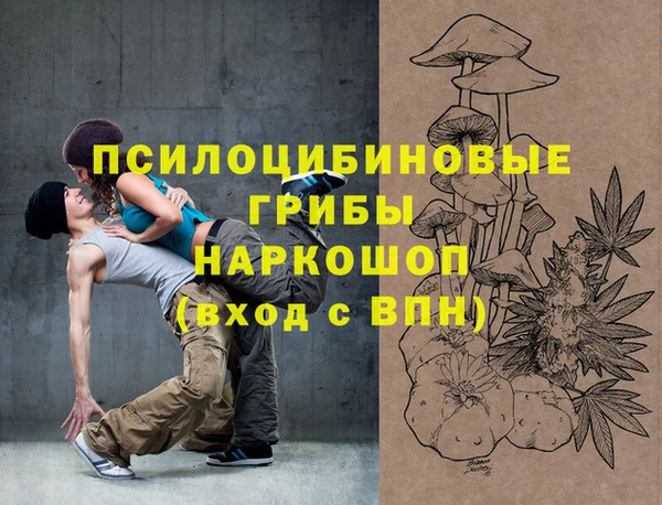 сатива Тайга