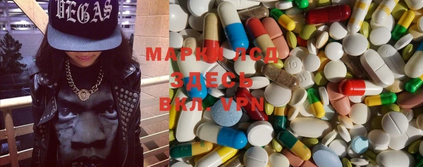 гашик Верея