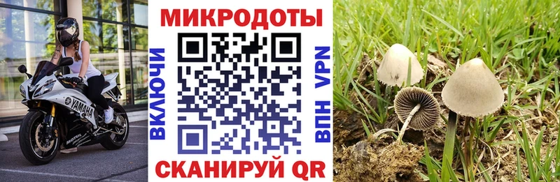 Псилоцибиновые грибы MAGIC MUSHROOMS  hydra рабочий сайт  Луза 